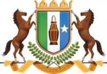 Puntland oo u yeertay mas’uuliyiinta Raasi-casayr, xilli gobolka ay ka taagnayd xiisad hub ka haray markab Turki ah